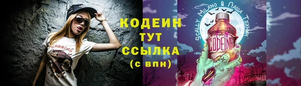 шишки Армянск