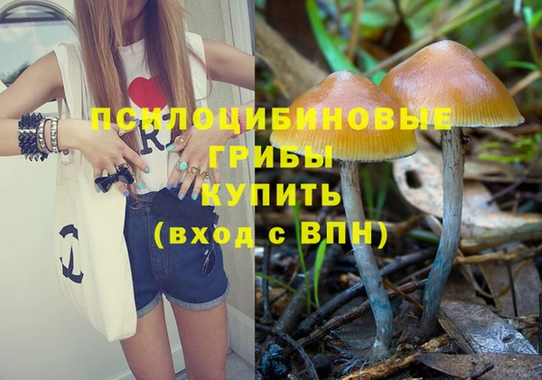 шишки Армянск